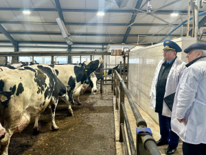 IMG_20251107_141849_633